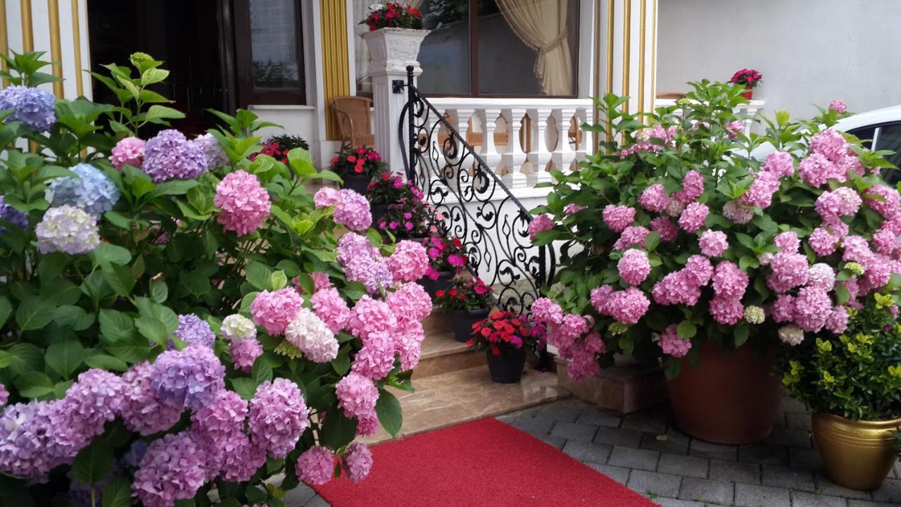 Termal Elit Hotel Gokcedere ภายนอก รูปภาพ